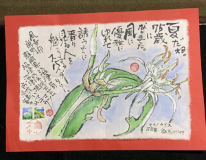 スパイダーリリーの様に生きたい❗️