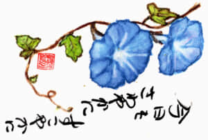 爽やか