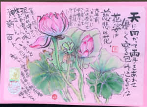 初めて我が家にハスの花が咲く