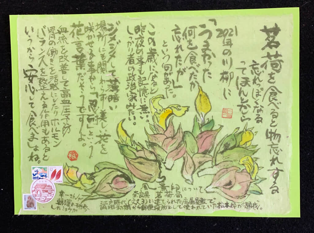 大丈夫だよー ミョウガ食べても 絵手紙 交流ひろば てがみ倶楽部絵手紙 交流ひろば てがみ倶楽部
