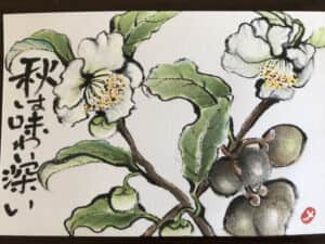 お茶の花