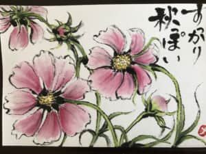 秋桜