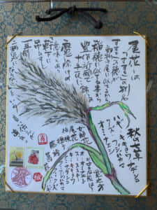 尾花が魔除けだって⁉️