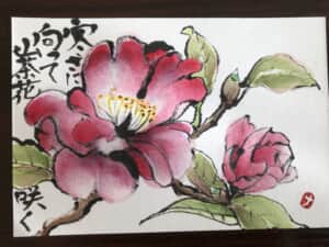 山茶花