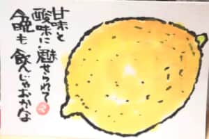 今夜も一杯