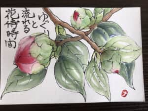 椿