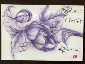 クリスマスローズ