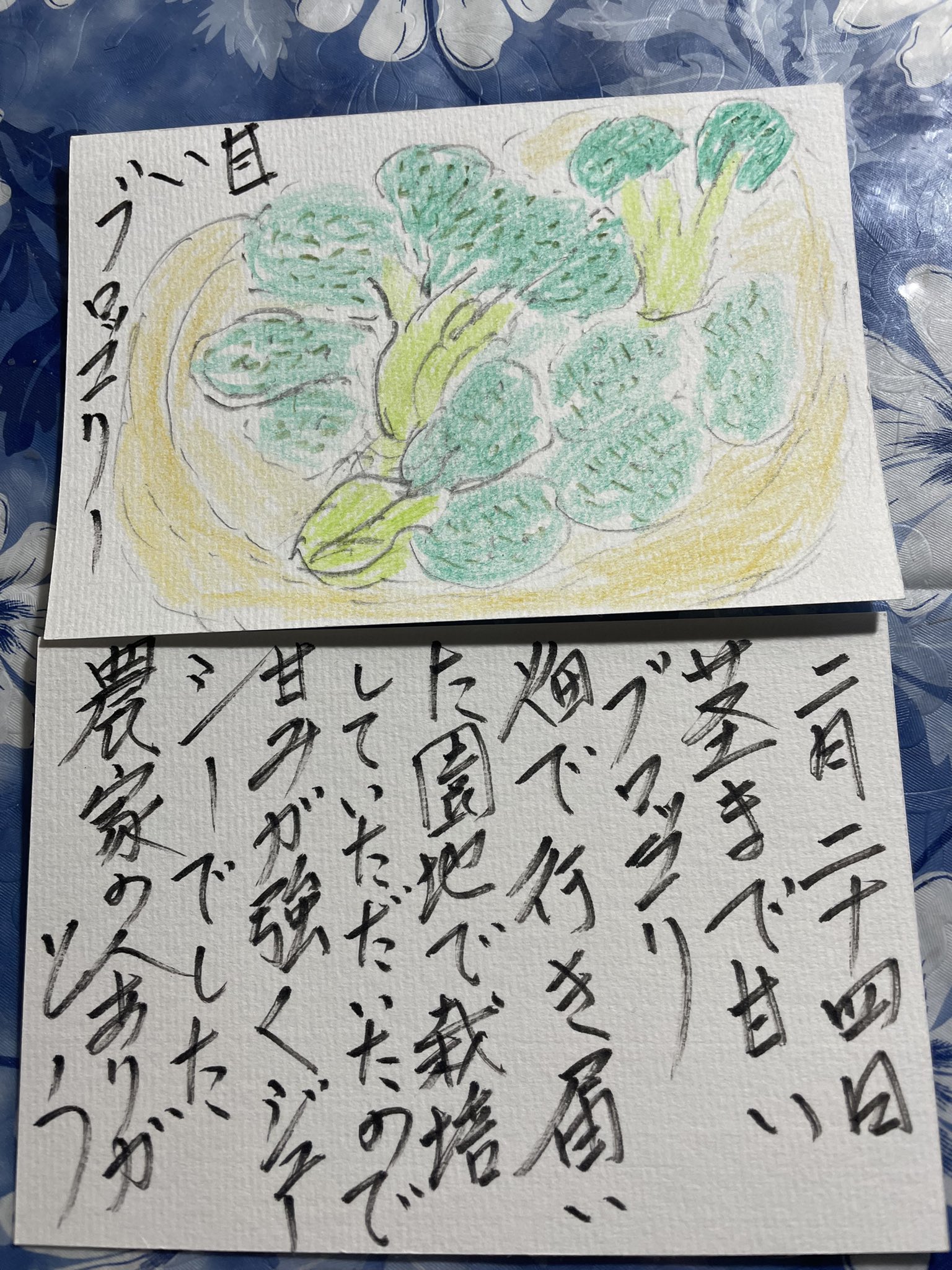 甘いブロッコリー 茎まで甘いブロッコリー畑で行き届いた園地で栽培いていただいたので甘味が強くジューシーでした農家の人にありがとう