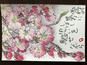 枝垂れ桜