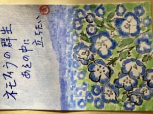 ネモフィラの中