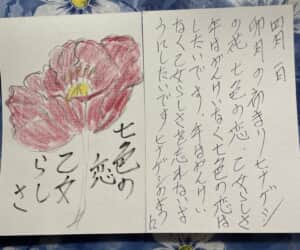 七色の恋，乙女らしさ，卯月の始まり、ヒナゲシの花は七色の恋