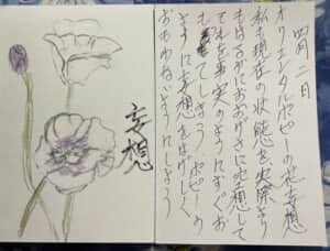 オリエンタルポピーの花は妄想