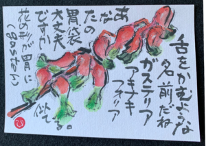 名前って難しい。