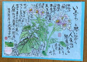 今更ながら❗️