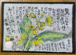 驚いたなぁ❗️