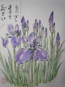 今日の絵手紙