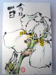 今日の絵手紙
