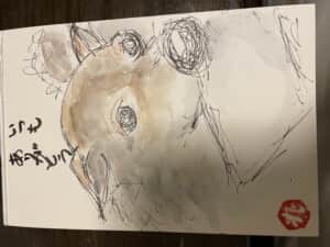 虹の橋を渡ったわん😢