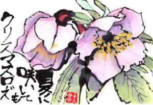 夏に咲いてもクリスマスローズ