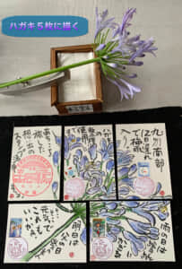 愛の花なんですって❗️