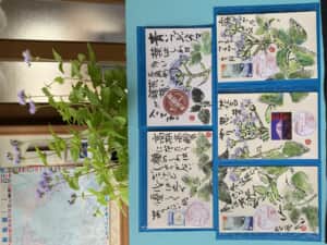 ☔️の日は絵手紙ですネ❗️