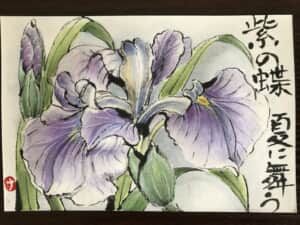 花菖蒲