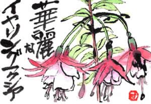 華麗なイヤリング