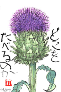 どこを食べるのか