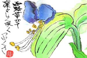 露帯びて凛々しく咲くつゆくさ