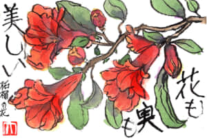 花も実も美しい
