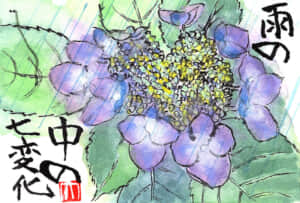 雨の中の七変化