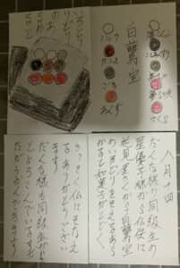 白鷺宝 色とりどりのアルカルト