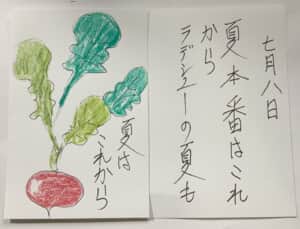 夏はこれから 夏本番はこれからラディッシュの夏も