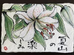 山百合