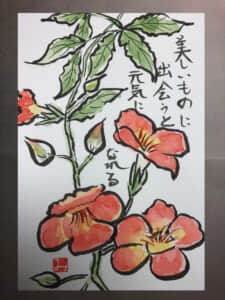 ノウゼンカズラ