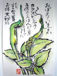 カラスビシャク