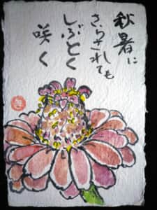 百日草