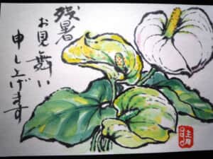残暑見舞い
