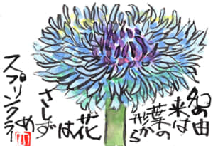 なの由来は葉の形から　花はさしずめスプリンクラー