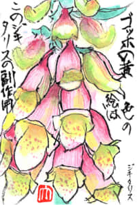 ゴッホの黄色の絵はこのジキタリスの副作用