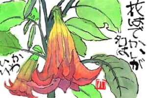 花はでかいが名はかわいい