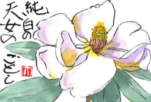 純白の天女のごとし