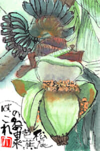 松尾芭蕉の名の由来はこれ