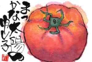 まっかな太陽の申し子