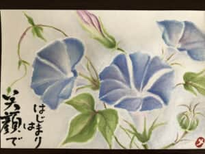 朝顔
