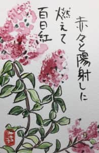 百日紅