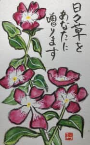 日々草