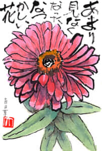 あまり見なくなったなつかしい花