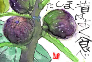 昔はよく食べました