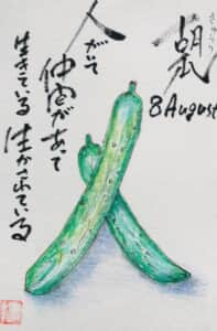 8月の胡瓜